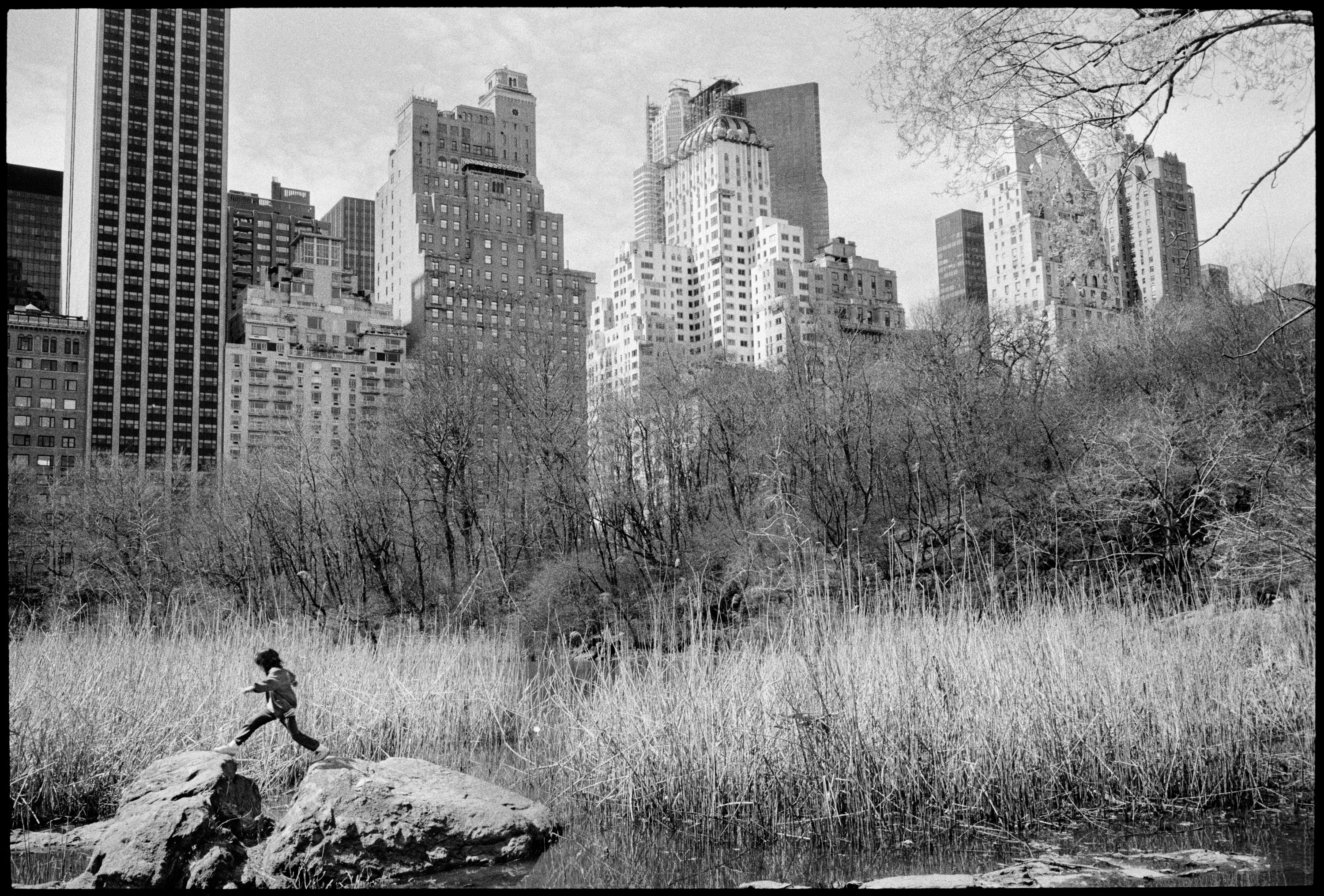 Stuart Franklin: Central Park